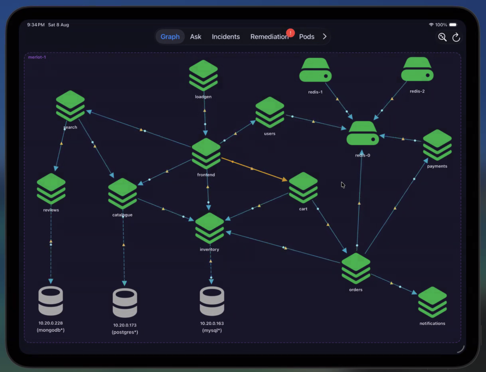 Application dependency topology displayed in the runtime intelligence platform